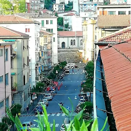 Elvi ゲストハウス